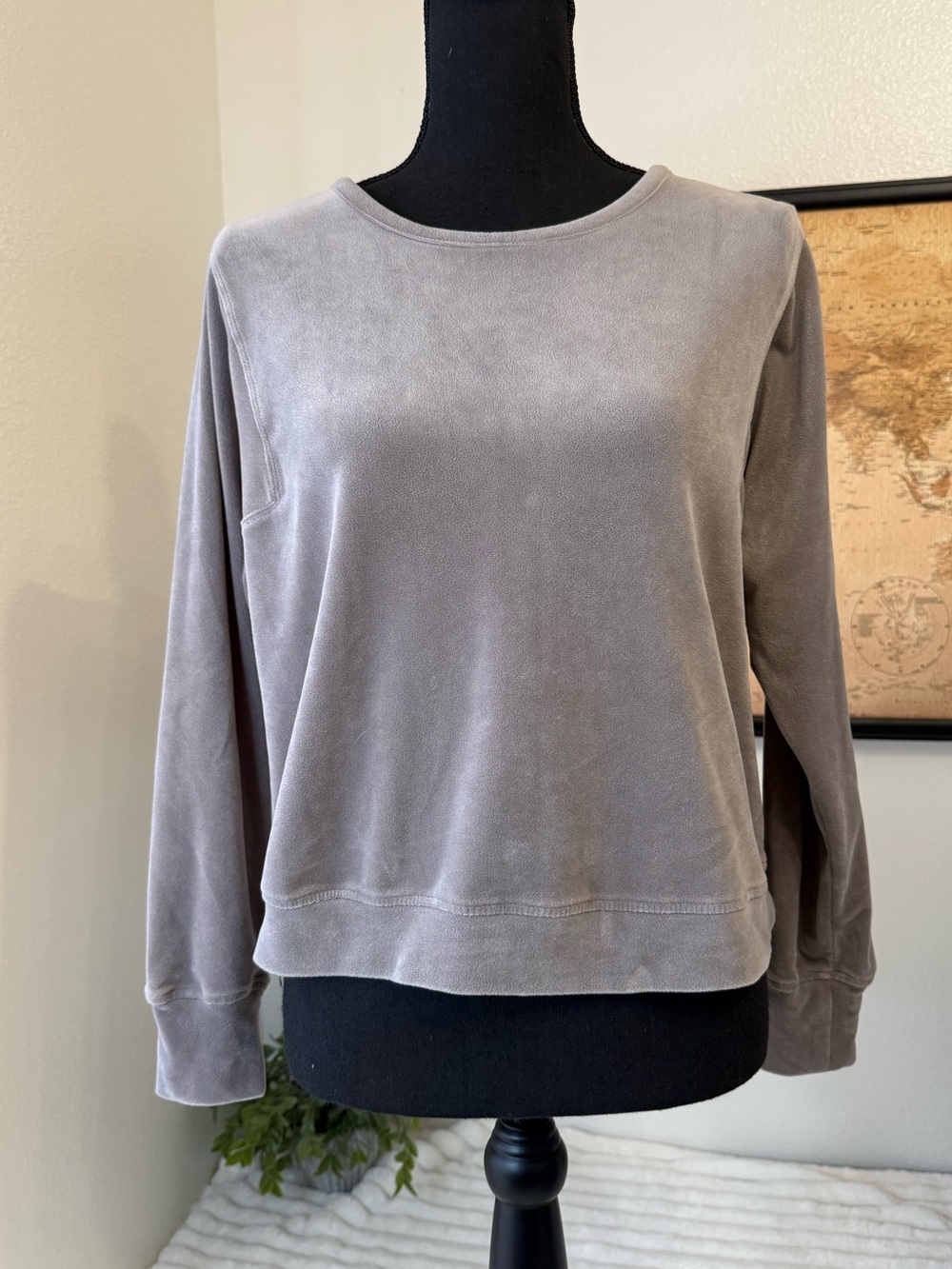Cable & Gauge velour sweater top size small